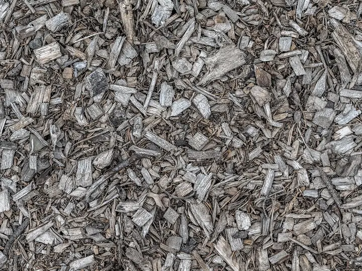 Close-up of wood chip mulch (stock photo)
